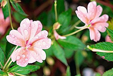 Steam客户端迎来个性化更新 游戏封面自定义正式上线